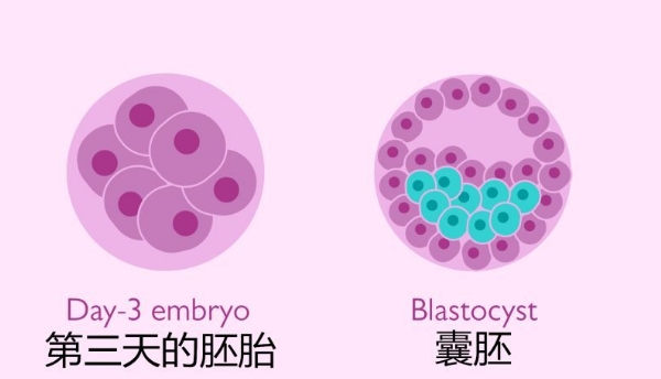 老公没戒烟怀孕了能要吗
