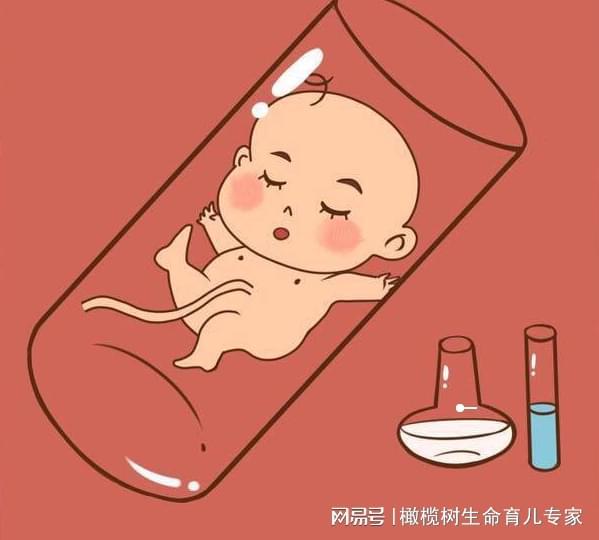 育儿专家兰海节目