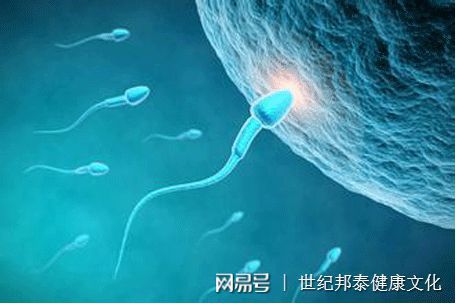 传统观念