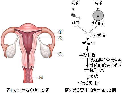 育儿书单文案素材