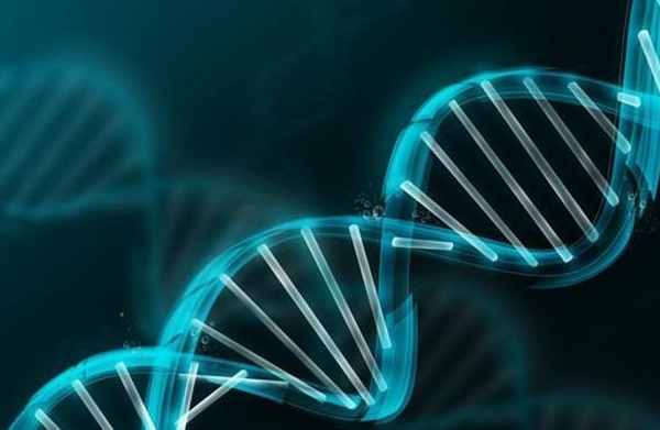 美国儿科学会育儿百科在线阅读