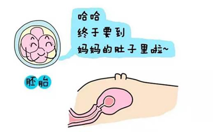 育儿专家