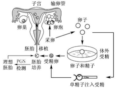 吸烟