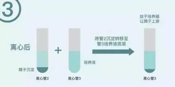 育儿书单