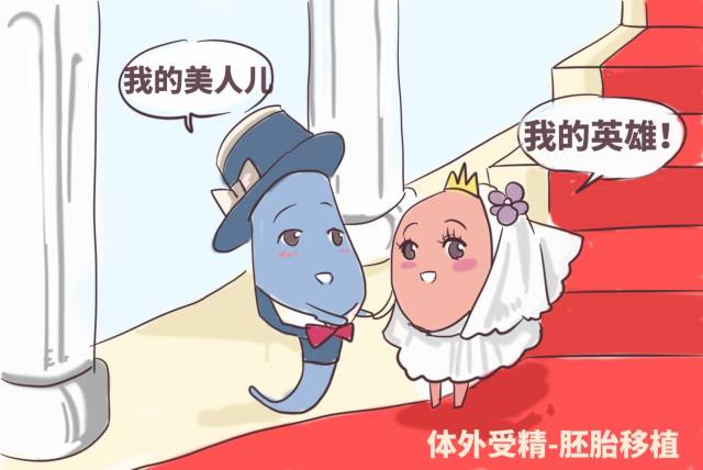 肛门口堵了