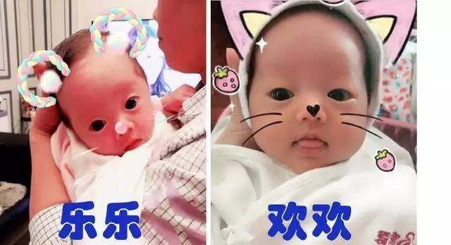 棉酚绝育