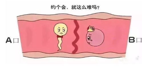 育儿书单