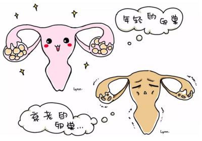 孕期肚子变化