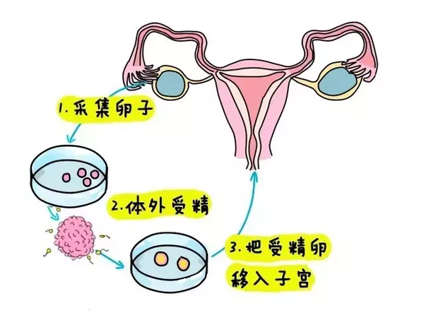 育儿专家排名前十
