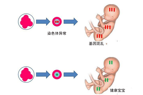 老婆回娘家