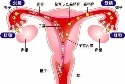 育儿书单