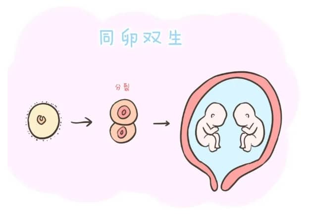 老年人