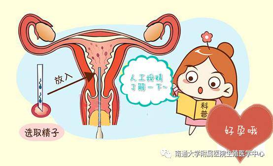 育儿早教师