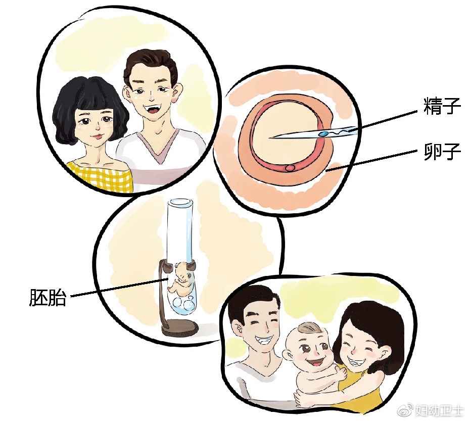 育儿师兰海老师