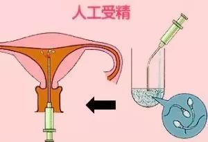 育儿知识