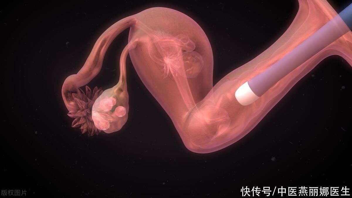 育儿教育感悟