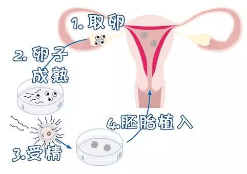育儿心得