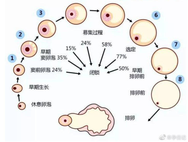 育儿书单