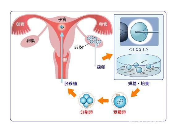 育儿教育心得