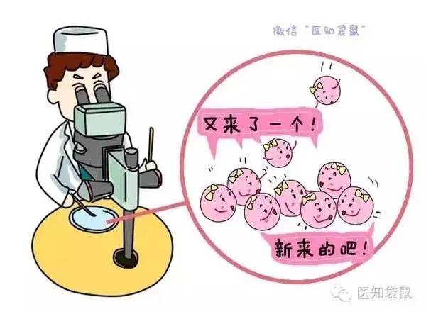 育儿师兰海节目54期