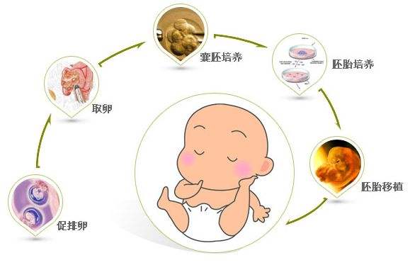 育儿教育