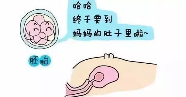 育儿心得