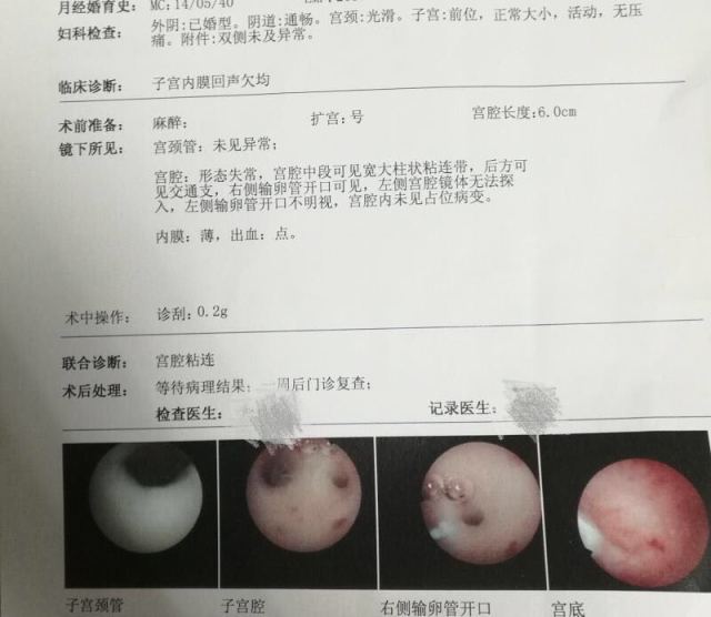 育儿文案素材库