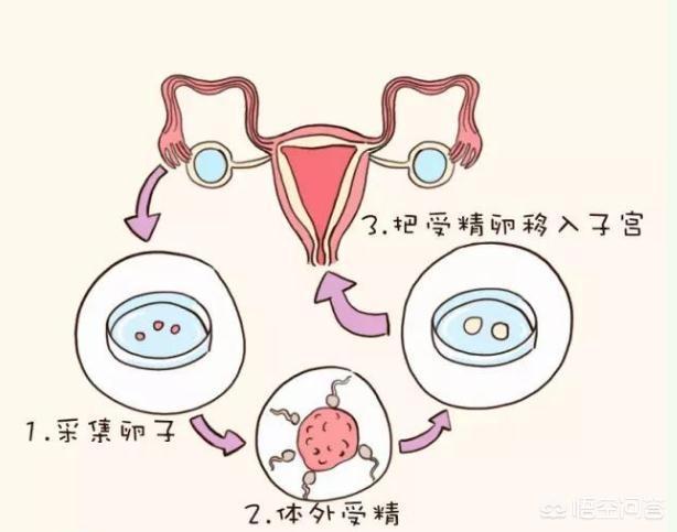 育儿教育